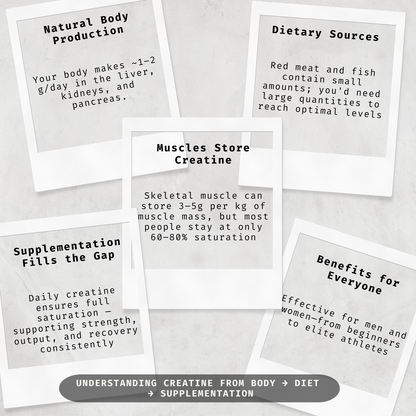 info+unflavoured creatine